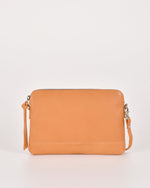 Apricot