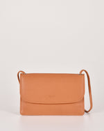 Apricot