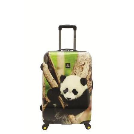 National Geographic Panda On board Hard Side Luggage