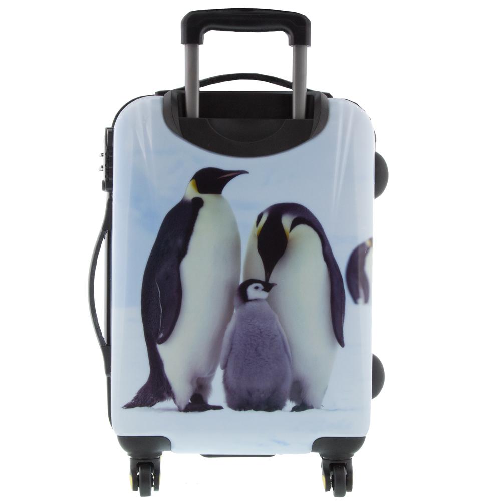 National Geographic Penguin Hard Side Luggage 2 Piece Set